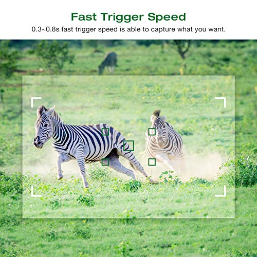 5 TOGUARD+Waterproof+Wildlife+Monitoring+Observation