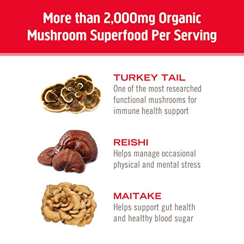 Om-Mushroom-Superfood-Drink-Mix-Immune-Plus-SuperBerry-21-Ounce-10-Packets-Reishi-Probiotics-Immune-Support-Supplement
