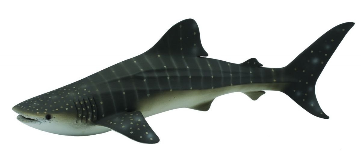 CollectA Sea Life Whale Shark Toy Figure - Authentic Hand Painted Model