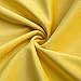 MIULEE Pack of 2 Velvet Soft Solid Decorative Square Throw Pillow Covers Set Cushion Case for Fall Sofa Bedroom 16x16 Inch 40x40 Cm Lemon Yellow
