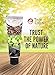 Twin Lotus Activated Charcoal Toothpaste - Teeth Whitening Herbal, Fluoride Free & No SLS for Sensitive Teeth, Coconut Charcoal Toothpaste Remove Plaque Freshen Breath