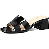 Women's Chunky Open Toe Low Block Heels Kitten Dressy Heels for Women Low Heel Sandals for Women Summer Comfy Heels