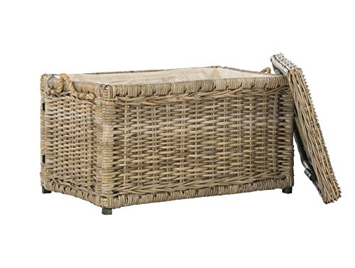 happimess Jacob 30" Wicker Storage Trunk, Natural