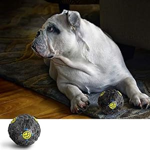 ziidoo Giochi Cane,12 Pezzi Giochi per Cani,Giocattoli di Corda Cane per Cani Grandi Giochi Cane Cucciolo ziidoo ziidoo Giochi Cane,12 Pezzi Giochi per Cani,Giocattoli di Corda Cane per Cani Grandi Giochi Cane Cucciolo