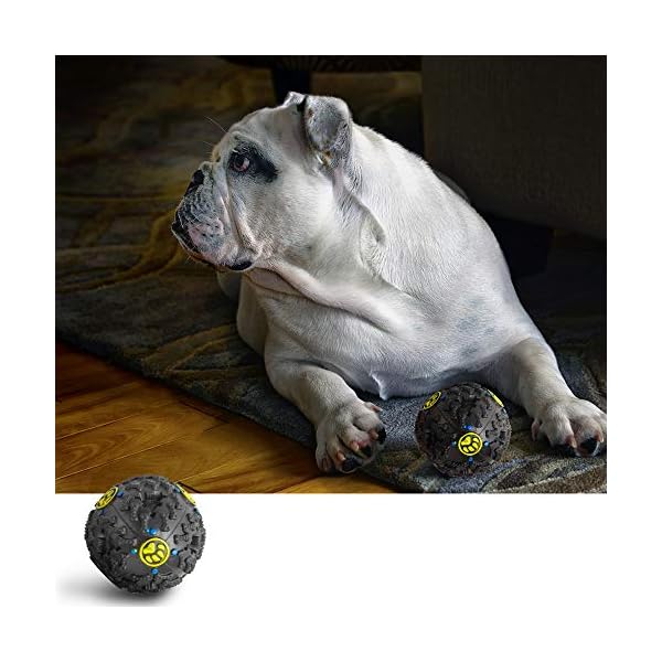 ziidoo Giochi Cane,12 Pezzi Giochi per Cani,Giocattoli di Corda Cane per Cani Grandi Giochi Cane Cucciolo ziidoo ziidoo Giochi Cane,12 Pezzi Giochi per Cani,Giocattoli di Corda Cane per Cani Grandi Giochi Cane Cucciolo