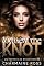 Livro Torment Me Knot: Um Romance BrokenVerse (Série de romance BrokenVerse Omegaverse Livro 4)