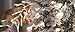 Christmas Cluster Lights 20 Foot Garland with 600 Warm White Lights on Clear Wire with Remote Control - Raz Exclusive