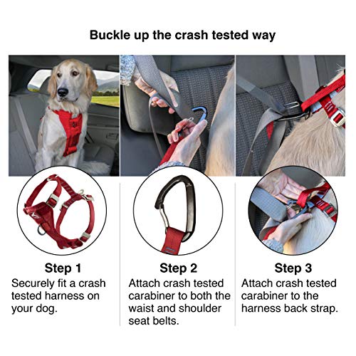 Kurgo TruFit Enhanced Strength Dog Harness Crash Tested Car Safety