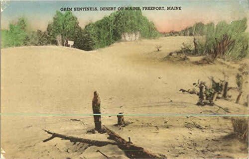 Grim Sentinels Desert Of Maine Freeport Me Original Vintage