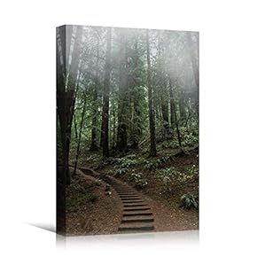 signwin Canvas Wall Art Green Forest Dramatic Forest...