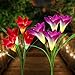 Loren Solar Lights Outdoor - New Upgraded Solar Garden Lights, Multi-Color Changing Lily Solar Flower Lights for Patio,Yard Decoration, Bigger Flower and Wider Solar Panel (2Pack)