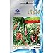 Thai Hot Pepper Chili - From Thailand by Chia Tai (90 Seeds Per Package)