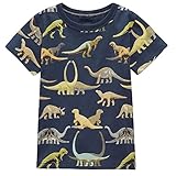Dan Ching Kids Little Boys Short Sleeve T-shirts 2T - Size 6