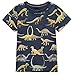 Dan Ching Kids Little Boys Short Sleeve T-shirts 2T - Size 6