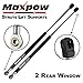 Maxpow 2PCS Gas Charged Rear Glass Window Lift Support Compatible With Chevrolet Blazer 1997-1999 and 2005 4316 (Not Suitable for 00-04)