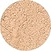 PRESTIGE COSMETICS Skin Loving Minerals Gentle Finish Mineral Powder Foundation, Fair, 0.23 Ounce (MFN-01)