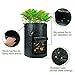 Aquarius CiCI Garden Potato Grow Bag Eco-Friendly Garden Planting Grow Bags Vegetables Planter Bags with Flap and Handles Heavy Duty Suitable for Potato, Carrot, Tomato, Onion(Green)