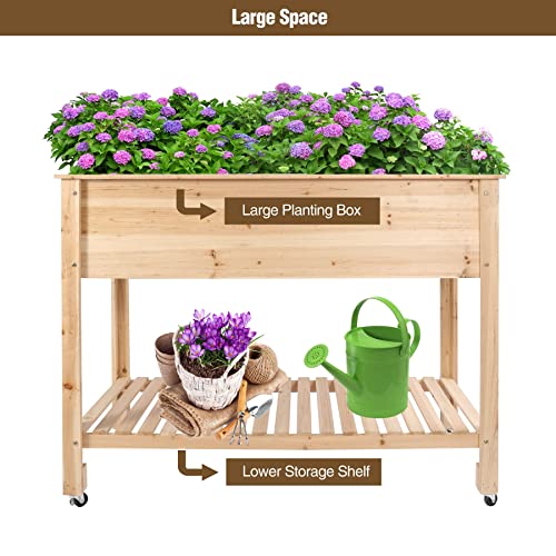Stonehomy Elevated Garden Beds Wood with Wheels and Shelf, Weatherproof
