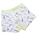 Czofnjesi Boys Breathable Dinosaur Car Cotton Boxer Brief Underwear Sets (Car, 2-4T)