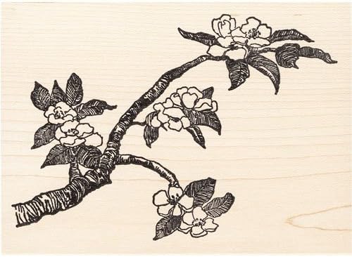 Amazon Com Cherry Blossoms Tree Branch Rubber Stamp Arts Crafts Sewing