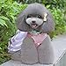 Howstar Puppy Clothes, Cute Doggie Dress for Small Dog Stripe Princess Dress Bow Lace Skirt (Pink, M)