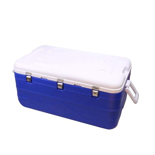 Ambiguity Nevera Camping,Caja de Transporte de Cadena de frío de ...