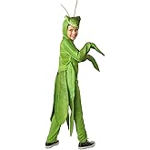 Seasons Child Praying Mantis Costume