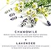 Premium Deluxe Bath & Body Gift Basket. Ultimate Large Spa Basket! #1 Spa Gift Baskets for Women (Lavender Chamomile)