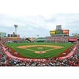 Fathead MLB Inside Stadium Mural Wall Decal