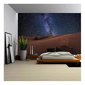 Amazing Views of The Gobi Desert Under The Night Starry Sky - Removable Wall Mural | Self-Adhesive Large Wallpaper - 66x96 inches
