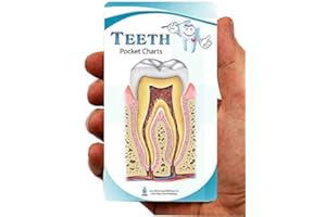 Blue Tree Publishing Inc., Dental charts (pocket)