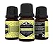 EA AromaCare Aromatherapy Essential Oils Blends Gift Set, Therapeutic Grade, 100% Pure, (Detox, Immunity, Rejuvenate, Sleep Well, Relax and Muscle Relief) Great Essential Oils Set