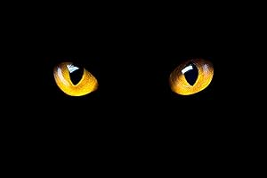 Édition bilingue Anglais-Français. Les aventures de Cherloque O'Mouse (Un mystère de souris): Le chat du cabaret de Montmartr