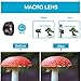 Phone Camera Lens,7 in 1 Cell Phone Lens Kit -120°Wide Angle Lens,Macro Lens,198°Fisheye Lens,Starburst Lens,2X telephoto,CPL,6 Kaleidoscope,Clip-On Compatible iPhone Samsung and Most Smartphone