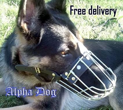 Muselière Pour Chien Panier En Fil Métal Robuste Pour Berger