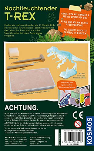 Nachtleuchtender T-Rex Ausgrabungs-Set – Bild 3
