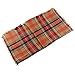 Lanzom Large Tartan Fashion Women Warm Blanket Scarf Lovely Wrap Shawl (Color 10)