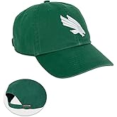 Desert Cactus University of North Texas Baseball Hat UNT Mean Green Cap Adjustable Adult Team Color (Design 1) Green