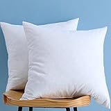 LunarTex Set of 2, Down and Feather Throw Pillow Insert, 100% Cotton, 24X24 inch