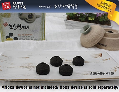 Turtle Smokeless Moxa Cones - SMALL