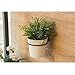 3 Packs Black Metal Wall Mounted Flower Pot Ring Wall Bracket Pot Holder (L)
