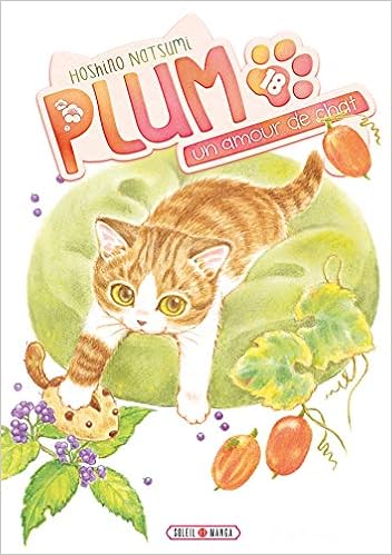 Plum Un Amour De Chat T18 Plum Un Amour De Chat 18 Amazon Co Uk Hoshino Natsumi Hoshino Natsumi Books