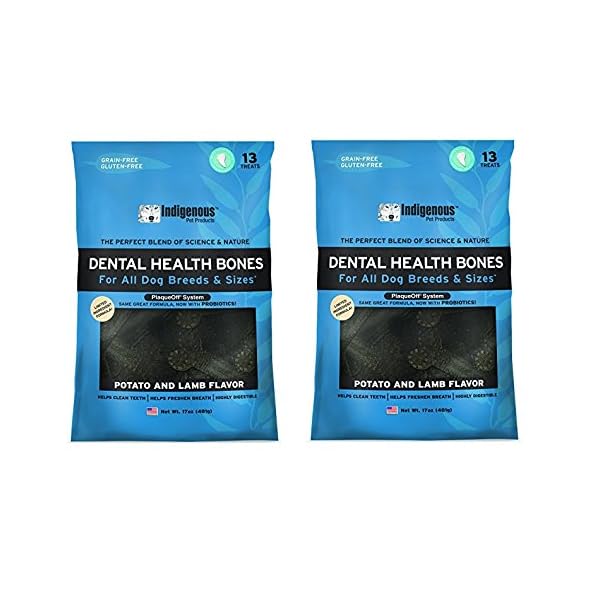 indigenous dental health bones