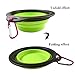 Pet Silicone Foldable Bowl - Retractable Travel Protable Water Bottle/Dish with a Metal Carabiner, Also Can Used as Flying Disc Toy for Dogs & Cats, Green