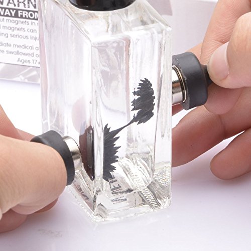 image for Adahill Hoptech Bottle Ferrofluid Magnetic Liquid Display Toy