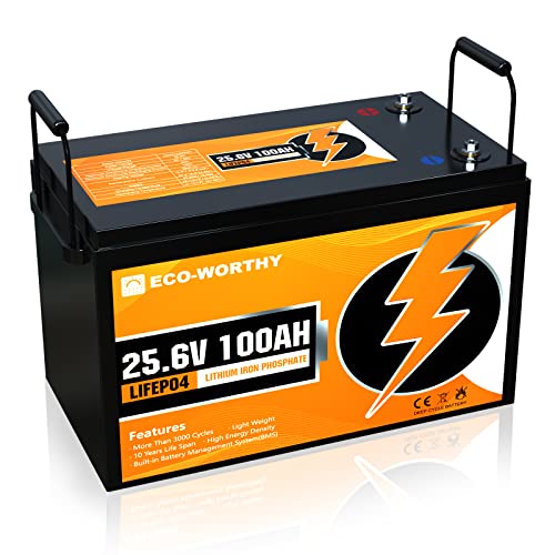 ECOWORTHY 24V 100Ah LiFePO4 Lithium Battery,3000+ Deep Cycles