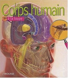 Le  corps humain