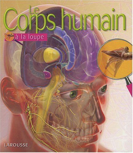 Le  corps humain