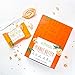 Primal Kitchen Peanut Butter Protein Bars (12 Pack), 9 Grams of Protein, Keto Friendly