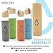 GoGlass Aspen Glass Drinking Water Bottle, 20-Ounce, Copper, BPA Free, with Insulated Sleeve & Wooden Cap